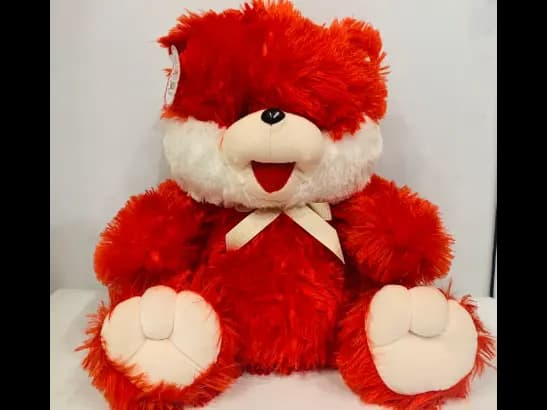 Teddy Bear Plush Toy (2)