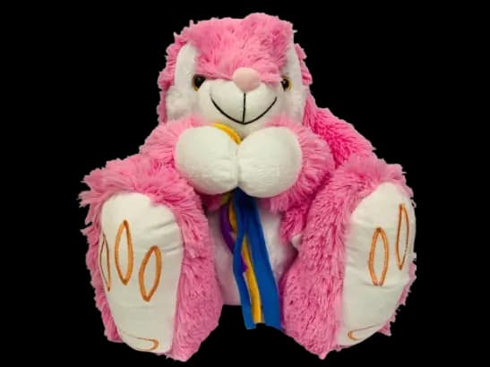 Cute Plush Toy - Orange / Pink (2)