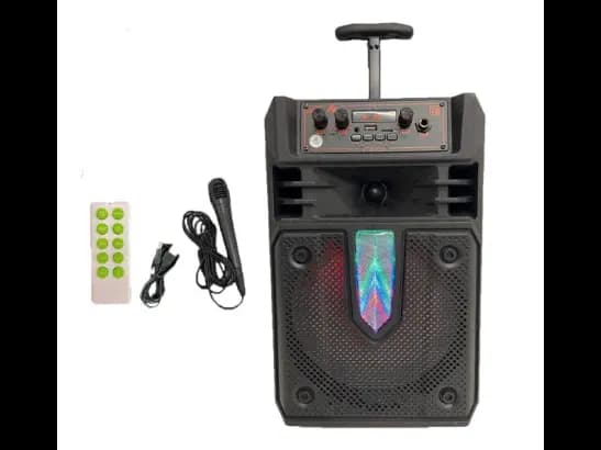 KTS-1631 Wireless Speaker with Wired Microphone