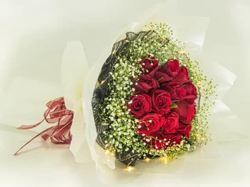 15 Red Roses Bouquet  - MF244