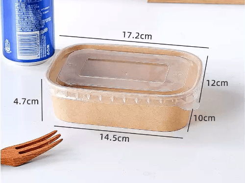 Disposable lunch box (3)