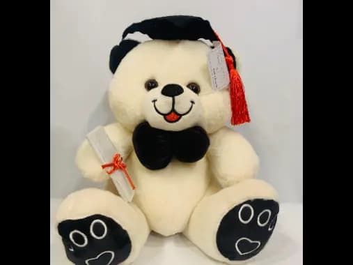 White Graduation Teddy Plush Toy