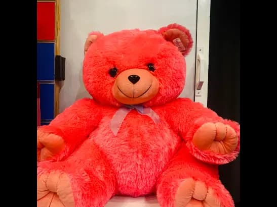 Huge Pink Teddy Bear (2)