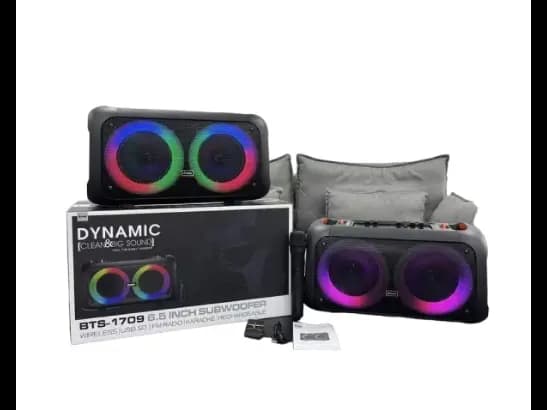 Brodu BTS-1709 Bass Portable Subwoofer Bluetooth Karaoke Speaker with Wireless MIC Big Sound/Dynamic (2)