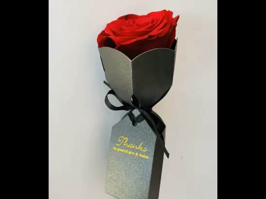Single Red Rose Flower for Valentine