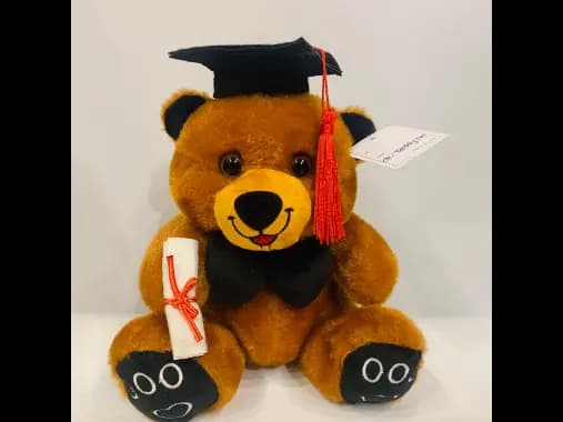 Brown Graduation Teddy Plush Toy