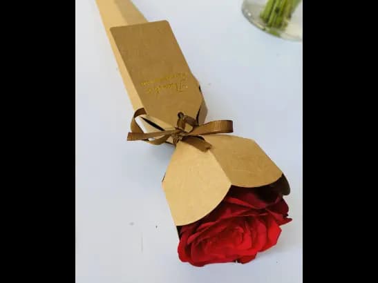 Single Red Rose Flower for Valentine (5)
