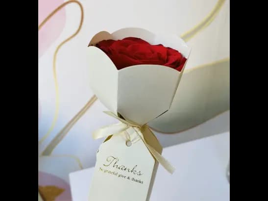 Single Red Rose Flower for Valentine (3)
