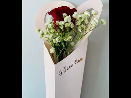Single Red Rose Flower Bouquet for Valentines (3)