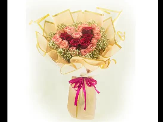Red & Pink 23 Roses Bouquet  - MF253