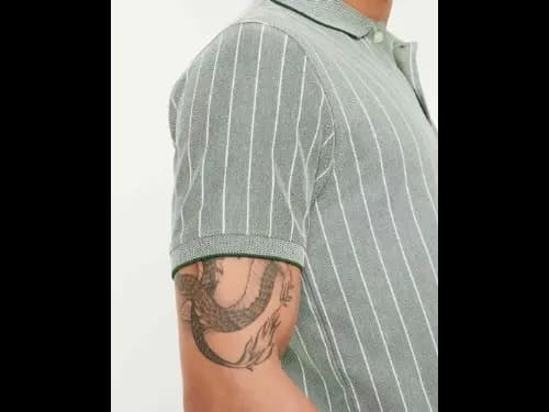 Men Regular Fit Striped Polo T-Shirt (3)