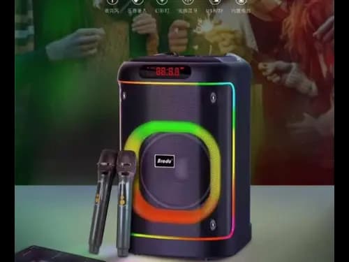 Brodu BTS-2103 8 inch iKaraoke Box Light up with 2 wireless microphones