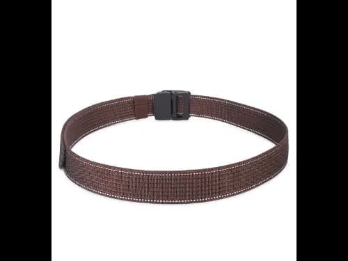 Men Webbed Wide Belt with Plaque Buckle Closure (3)