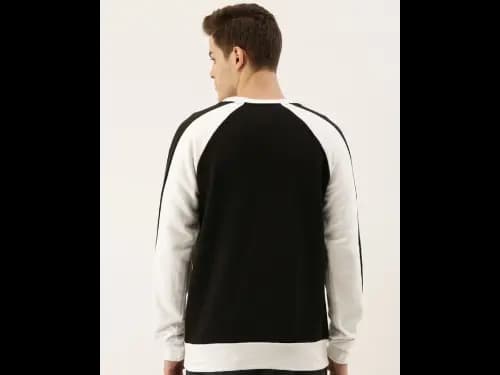 Colourblock Crew-Neck Sweatshirt (3)