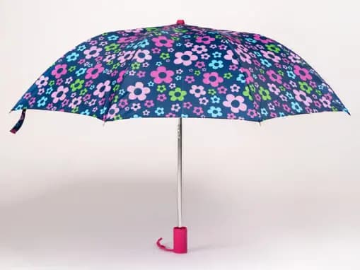 Rainco Regular Printed 22″ Umbrella (1020) (5)