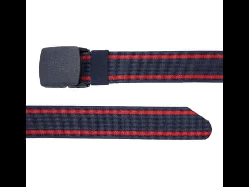 Men Striped Wide Belt with Clip-Buckle Closure (3)