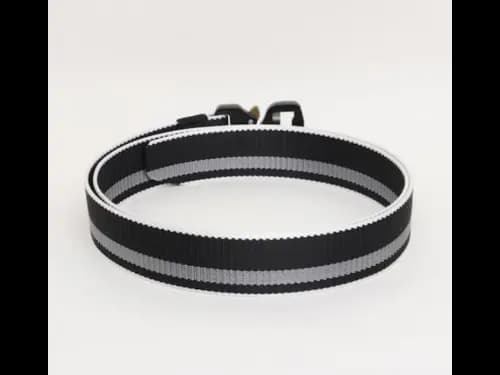 Men Striped Wide Belt with Military Buckle Closure (3)