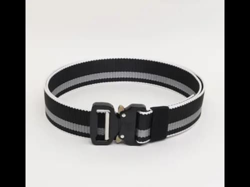 Men Striped Wide Belt with Military Buckle Closure (2)