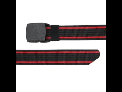 Men Webbed Wide Belt with Clip-Buckle Closure (3)