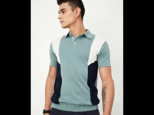 Men Colourblock Regular Fit Polo T-Shirt