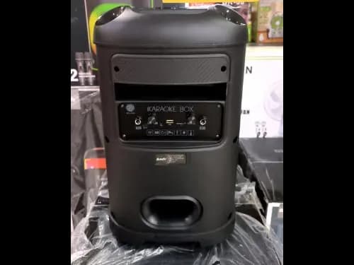 Brodu BTS-2103 8 inch iKaraoke Box Light up with 2 wireless microphones (2)