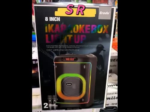 Brodu BTS-2103 8 inch iKaraoke Box Light up with 2 wireless microphones (3)