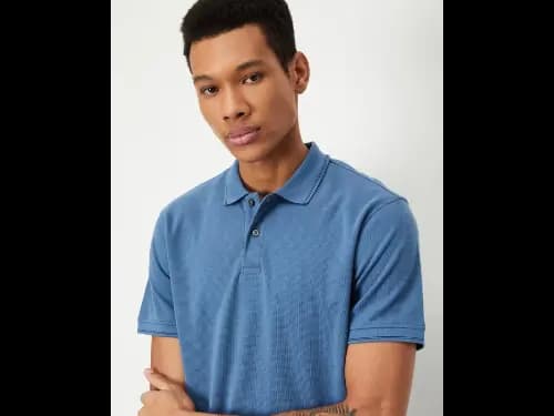 Men Regular Fit Blue Polo T-Shirt