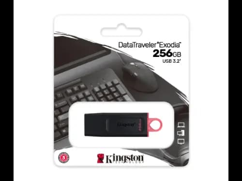 Kingston DTX 256GB Pen Drive with 1 Year Warranty (3)