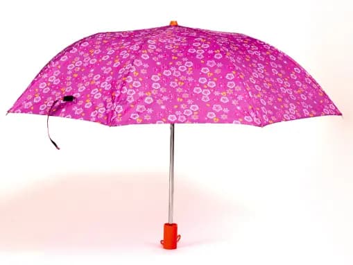 Rainco Regular Printed 22″ Umbrella (1020) (4)