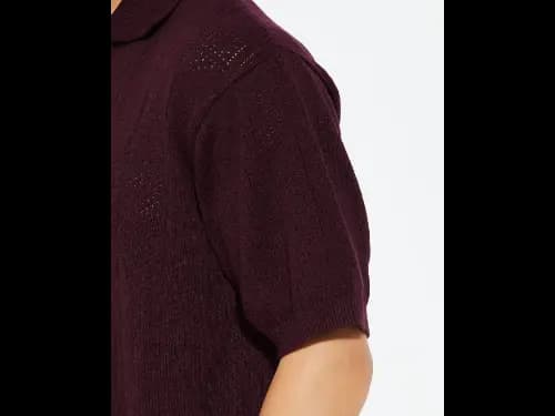 Men Cotton Regular Fit Polo T-Shirt (2)