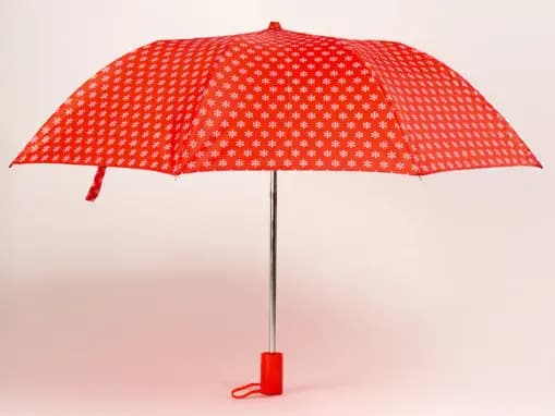 Rainco Regular Printed 22″ Umbrella (1020) (3)