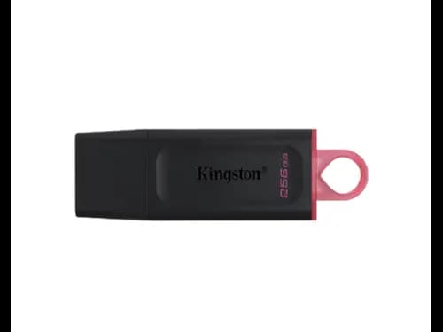 Kingston DTX 256GB Pen Drive with 1 Year Warranty