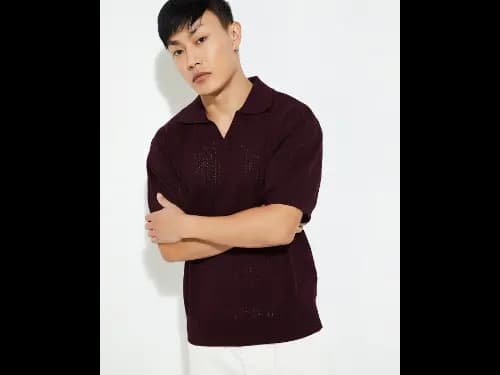 Men Cotton Regular Fit Polo T-Shirt