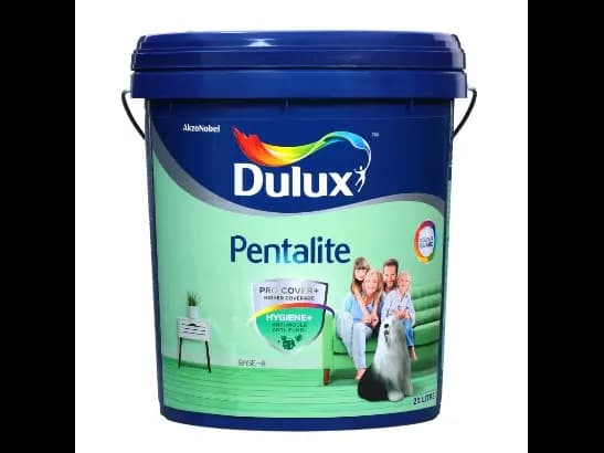 Dulux Interior and Exterior Almond White Paint (29YY76/149)