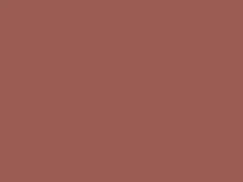 Dulux Interior and Exterior Heritage Red Paint (13YR15/284) (2)
