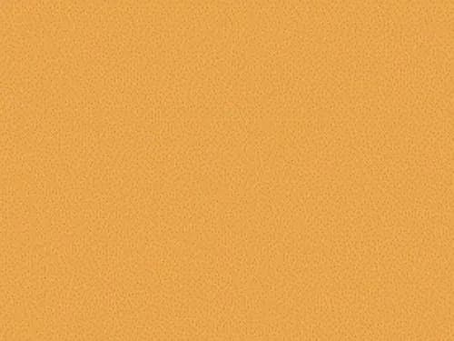 Dulux Interior and Exterior Autumn Squash Paint (08YY45/510) (2)