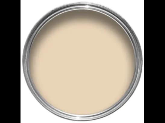 Dulux Interior and Exterior Petal Paint (80YR64/166) (2)