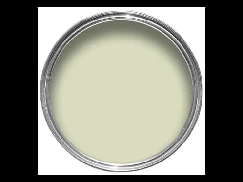 Dulux Interior and Exterior Mint Paint (10GY69/151) (2)