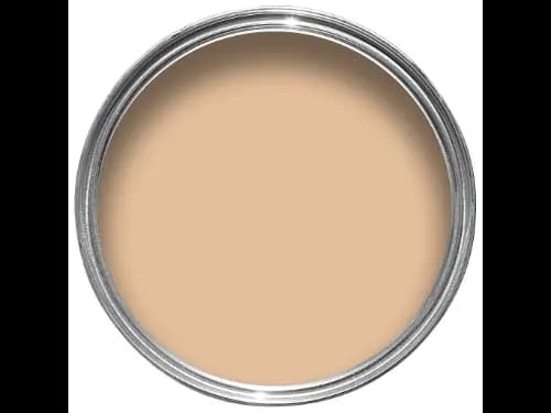 Dulux Interior and Exterior Cameo Paint (98YR53/235) (2)