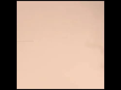 Dulux Interior and Exterior Antelope Tan Paint (80YR65/185) (2)