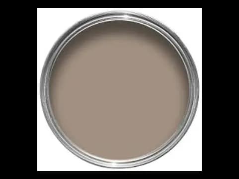 Dulux Interior and Exterior Antelope Paint (10YY30/106) (2)