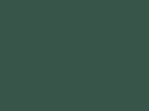 Dulux Interior and Exterior Spruce Paint (82GY12/125) (2)