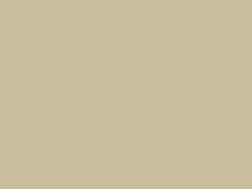 Dulux Interior and Exterior Yorkstone Paint (36YY67/267) (2)