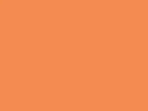 Dulux Interior and Exterior Clementlne Paint (80YR49/382) (2)