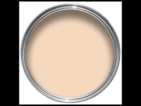Dulux Interior and Exterior Soft Peach Paint (10YY67/213) (2)