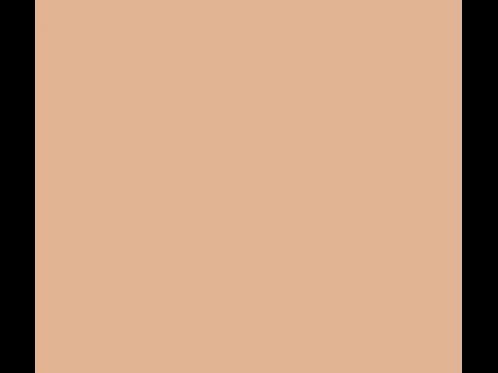 Dulux Interior and Exterior Sea Coral Paint (44YR55/271) (2)