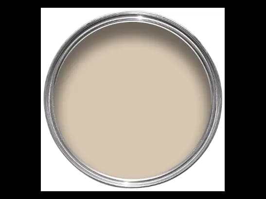 Dulux Interior and Exterior Autumn Stone Paint (10YY65/187) (2)