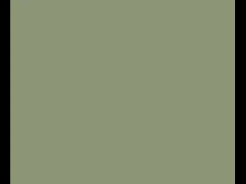 Dulux Interior and Exterior Pine Forest Paint (39GY70/100) (2)