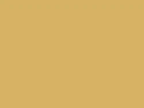 Dulux Interior and Exterior Triple Crown Paint (30YY45/381) (2)