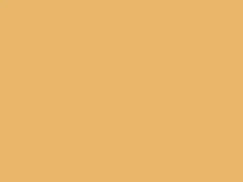 Dulux Interior and Exterior Moonstruck Paint (15YY55/495) (2)